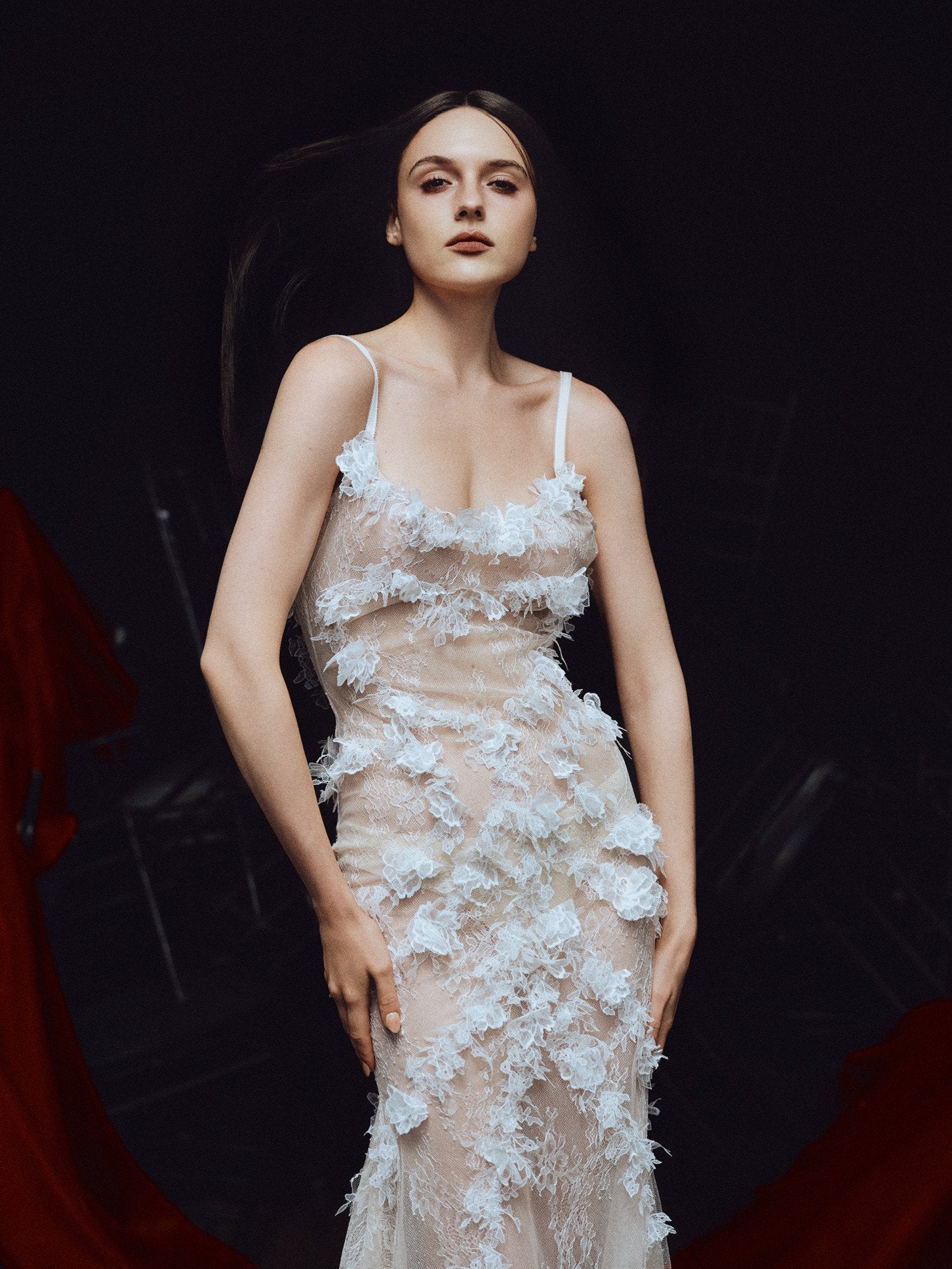 Swan Song Dress image 1