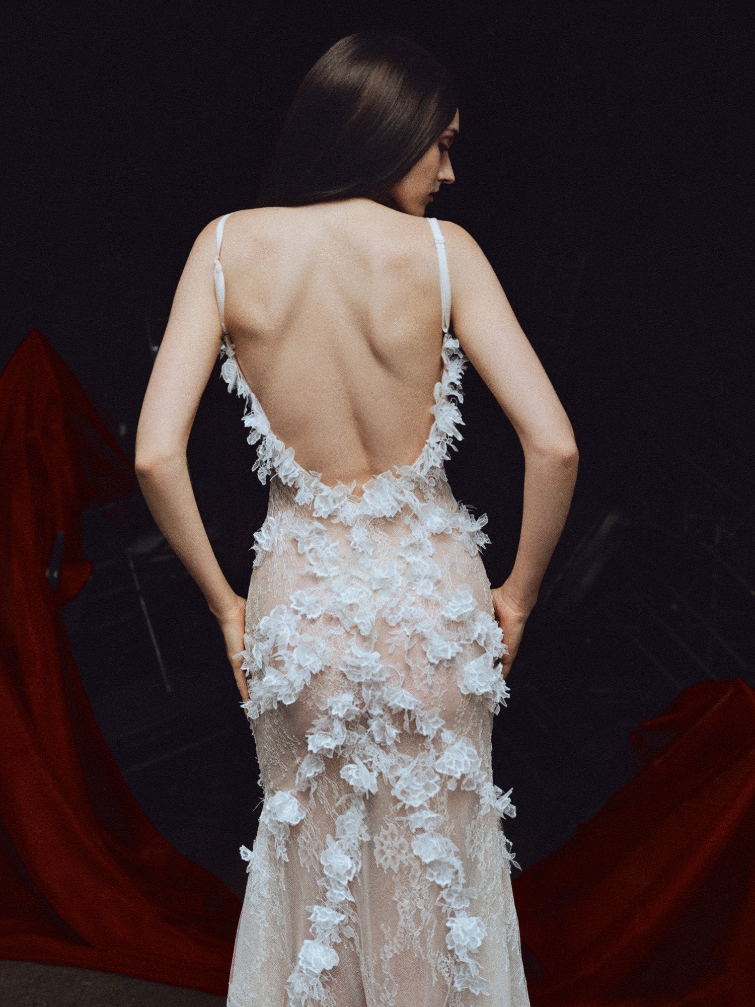 Swan Song Dress image 3