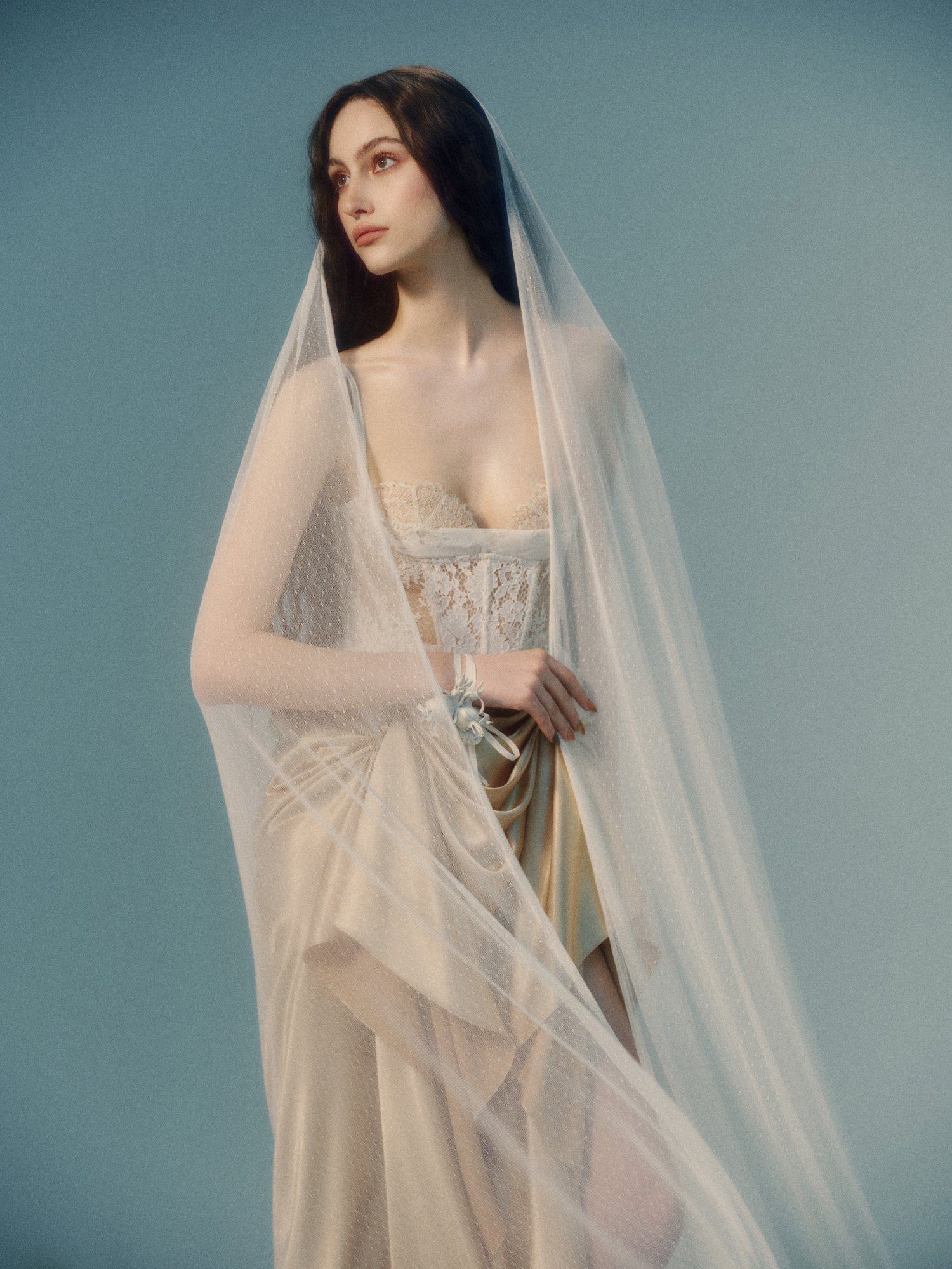Maia Dress image 1