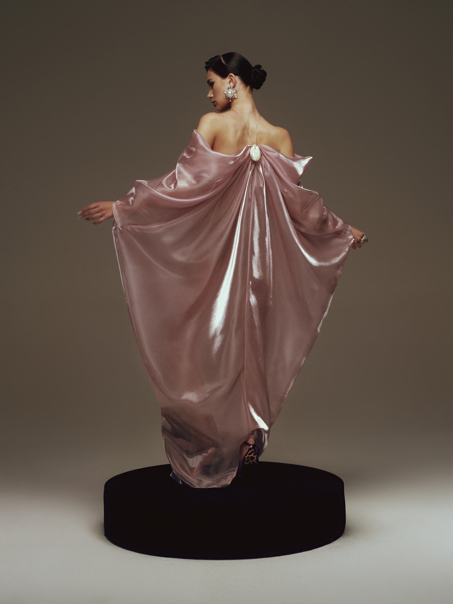 Aureline Dress image 5