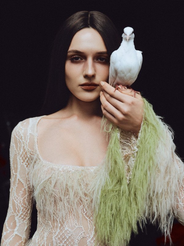 Willow Dress - Image 4